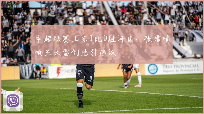 中超联赛山东1比0胜河南，张雷哨响王大雷倒地引热议
