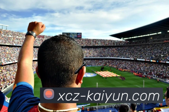 开云平台生态图